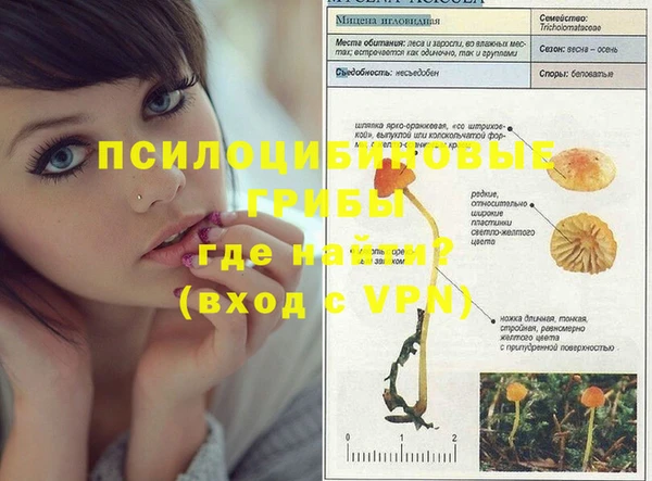 синтетический гашиш Заволжск