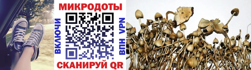 Псилоцибиновые грибы мухоморы  Западная Двина 